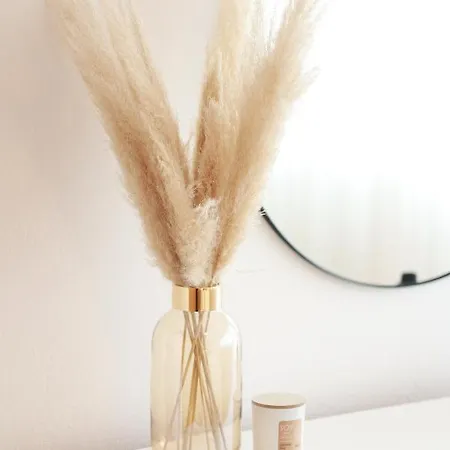 Appartement Pampas *